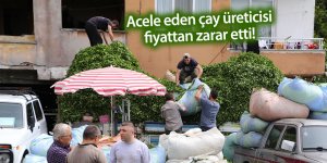 Acele eden çay üreticisi, fiyattan zarar etti