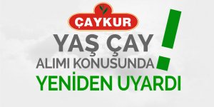 Çaykur yaş çay alımı konusunda yeniden uyardı