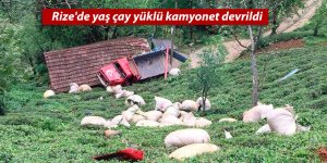 Rize'de yaş çay yüklü kamyonet devrildi