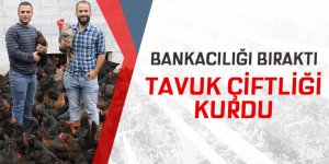 Bankacılığı bıraktı tavuk çiftliği kurdu