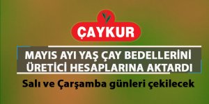 ÇAYKUR mayıs ayı yaş çay bedellerini üretici hesaplarına aktardı