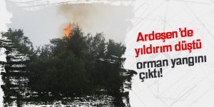 Ardeşen'de yıldırım orman yaktı