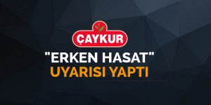 ÇAYKUR'dan "erken hasat" uyarısı