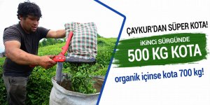 Çaykur'un ikinci sürüm kotası 500 kg!