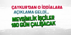 ÇAYKUR'da mevsimlik işçiler 180 gün çalıştırılacak