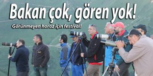 Görünmeyen horoz için festival!