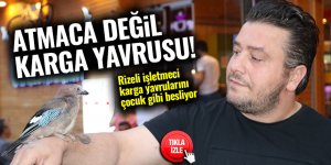 Sahiplendiği kargalara çocuğu gibi bakıyor