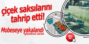 Yol kenarındaki saksıları tahrip eden şahsa gözaltı