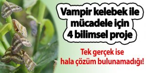 Vampir kelebek ile mücadele için 4 bilimsel proje