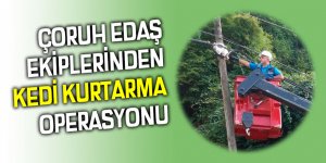 ÇORUH EDAŞ EKİPLERİNDEN KEDİ KURTARMA OPERASYONU