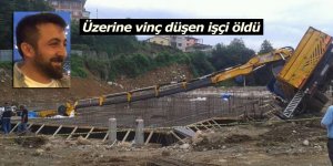 Üzerine vinç düşen işçi öldü