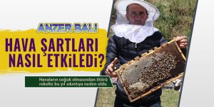 Hava şartları Anzer Balı'nı vurdu