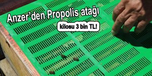 Anzer’den Propolis atağı