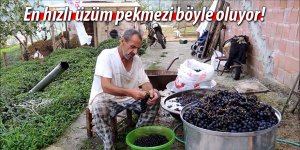 Emekli öğretmenin üzüm pekmezi fendi