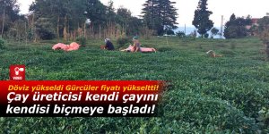 Çay üreticisi kendi çayını kendisi biçmeye başladı!