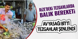 Rize'de tezgahlarda balık bolluğu