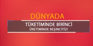 Dünyada üretirken beşinci tüketirken birinciyiz