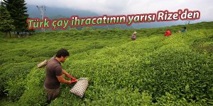 Türk çay ihracatının yarısı Rize'den