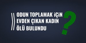 Odun toplamak için evden çıkan kadın ölü bulundu