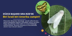 Düzce canavar kelebekten kurtuldu, sıra Rize'de!