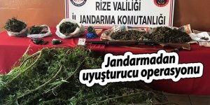 Jandarmadan uyuşturucu operasyonu