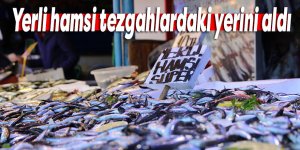 Yerli hamsi tezgahlardaki yerini aldı