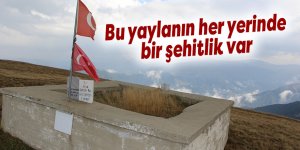 Bu yaylanın her yerinde bir şehitlik var