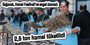 Sağanak, Hamsi Festivali'ne engel olamadı