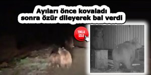 Ayıları önce kovaladı, sonra özür dileyerek bal verdi