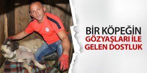 Bir köpeğin gözyaşları ile gelen dostluk