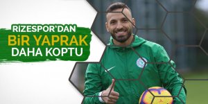 Rizespor'dan bir yaprak daha düştü