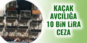 Kaçak avcılığa 10 bin lira ceza