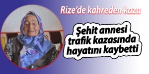 Şehit annesi trafik kazasında hayatını kaybetti