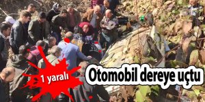 Otomobil dereye uçtu: 1 yaralı