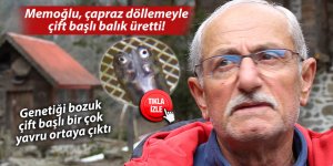 Memoğlu, çapraz döllemeyle çift başlı balık üretti!