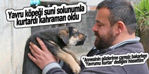 Yavru köpeği suni solunumla kurtardı, kahraman oldu