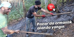 Pazar'da ormanlık alanda yangın