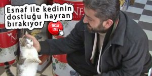 Esnaf ile kedinin dostluğu hayran bırakıyor