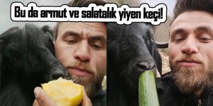 Bu da keçinin salatalık ve armut yiyeni!