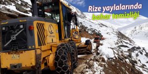 Rize yaylalarında bahar temizliği