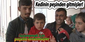 Kedinin peşinden gitmişler