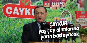 ÇAYKUR yaş çay alımlarına yarın başlayacak