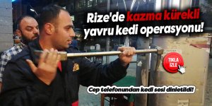 Rize'de kazma kürekli yavru kedi operasyonu!