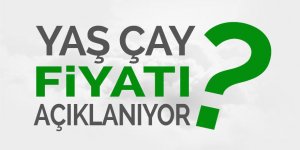 Yaş çay alım fiyatları açıklanıyor