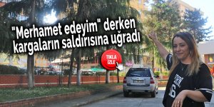 "Merhamet edeyim" derken kargaların saldırısına uğradı