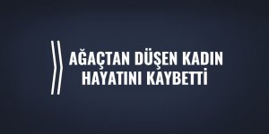 Ağaçtan düşen kadın hayatını kaybetti