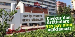 Çaykur'dan üreticilere yaş çay alım açıklaması