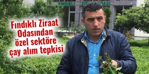 Fındıklı Ziraat Odasından özel sektöre çay alım tepkisi