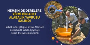 Hemşin’de derelere 20 bin alabalık yavrusu bırakıldı