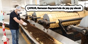 ÇAYKUR, Ramazan Bayramı'nda da yaş çay alacak